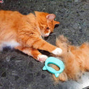 Escova-2-em-1-para-Gatos-Remove-Pelos-e-Massageia-4